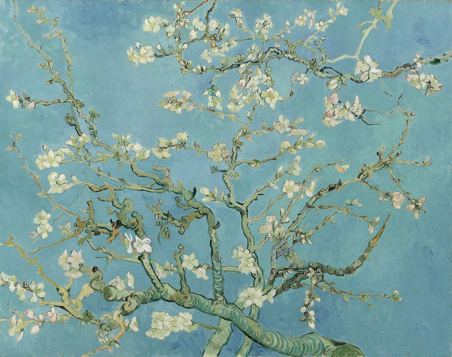Hand-painted oil reproduction of Almond Blossom, Vincent van Gogh 1890 branches with white blossoms against a bright blue sky